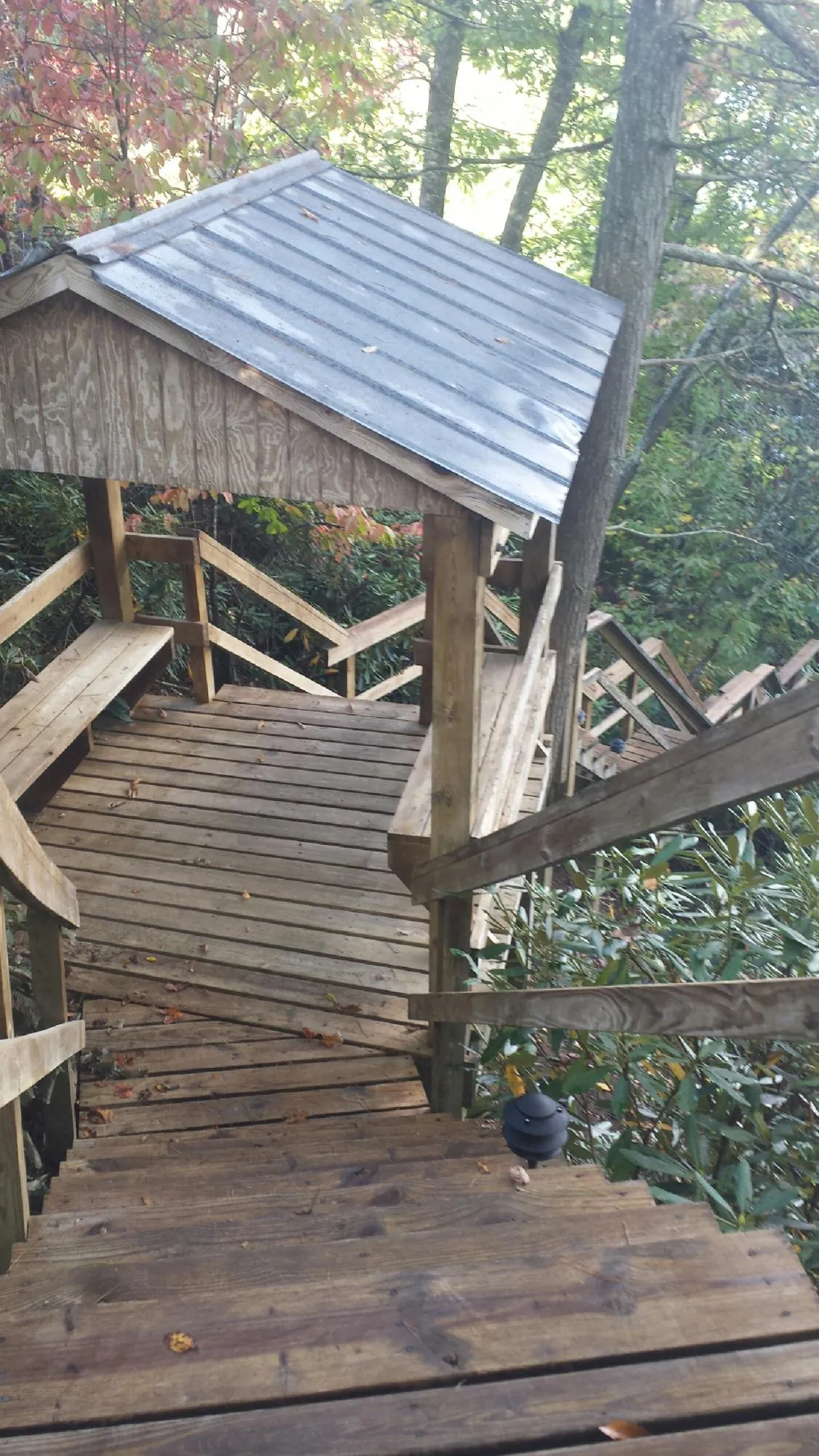 Metal roofed shelter over wooden steps on a wooded walkway — Skylight Repair & Installation work by our crew in Coeburn